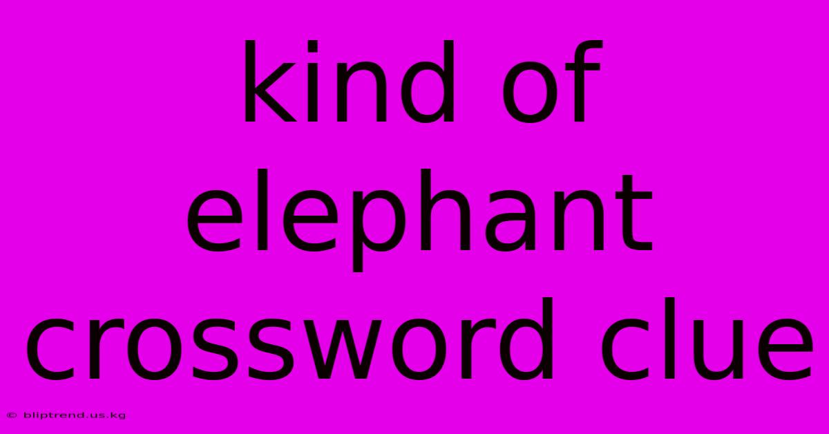 Kind Of Elephant Crossword Clue