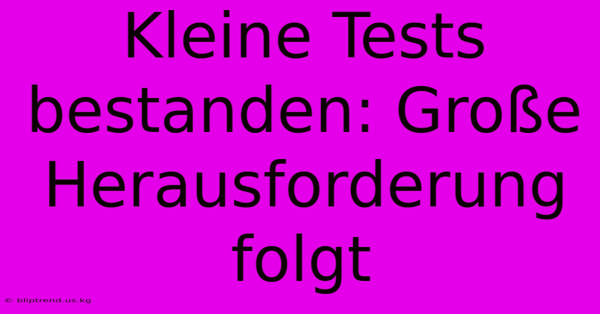 Kleine Tests Bestanden: Große Herausforderung Folgt