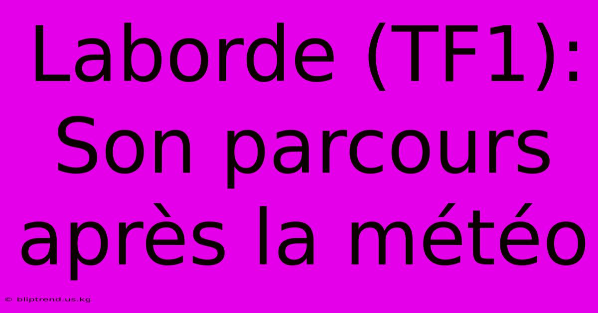 Laborde (TF1): Son Parcours Après La Météo