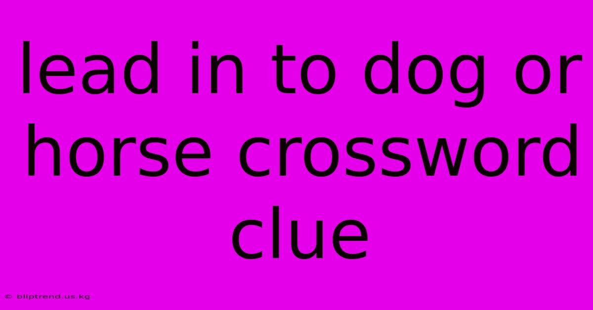 Lead In To Dog Or Horse Crossword Clue