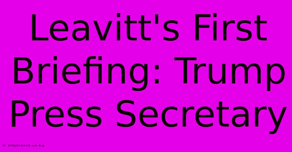 Leavitt's First Briefing: Trump Press Secretary