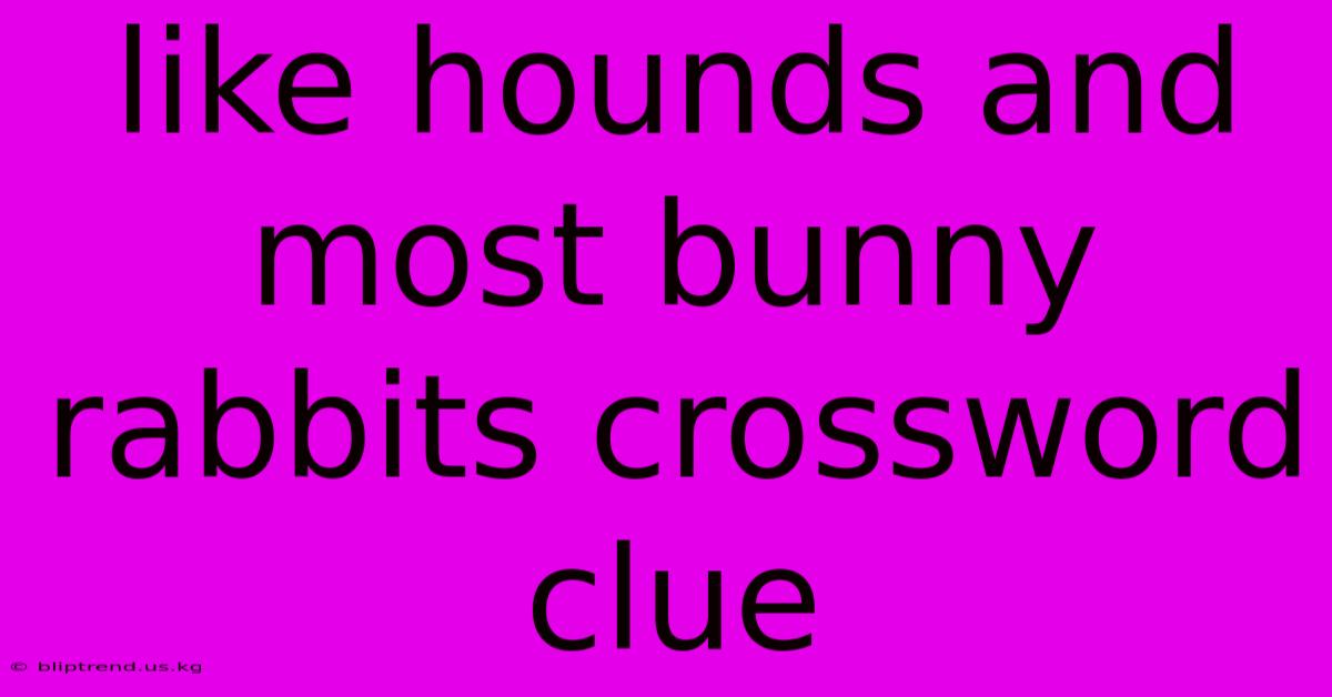 Like Hounds And Most Bunny Rabbits Crossword Clue