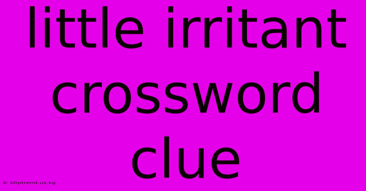 Little Irritant Crossword Clue