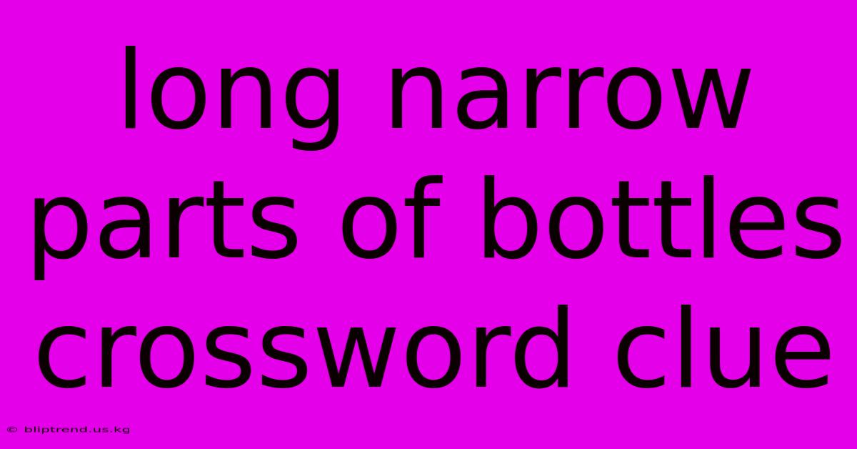 Long Narrow Parts Of Bottles Crossword Clue