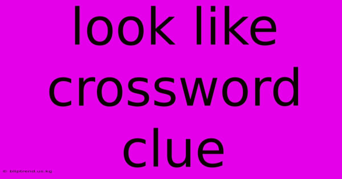 Look Like Crossword Clue