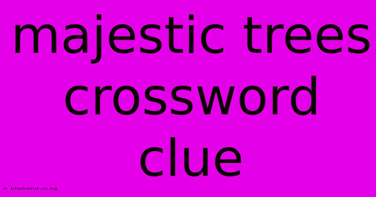 Majestic Trees Crossword Clue