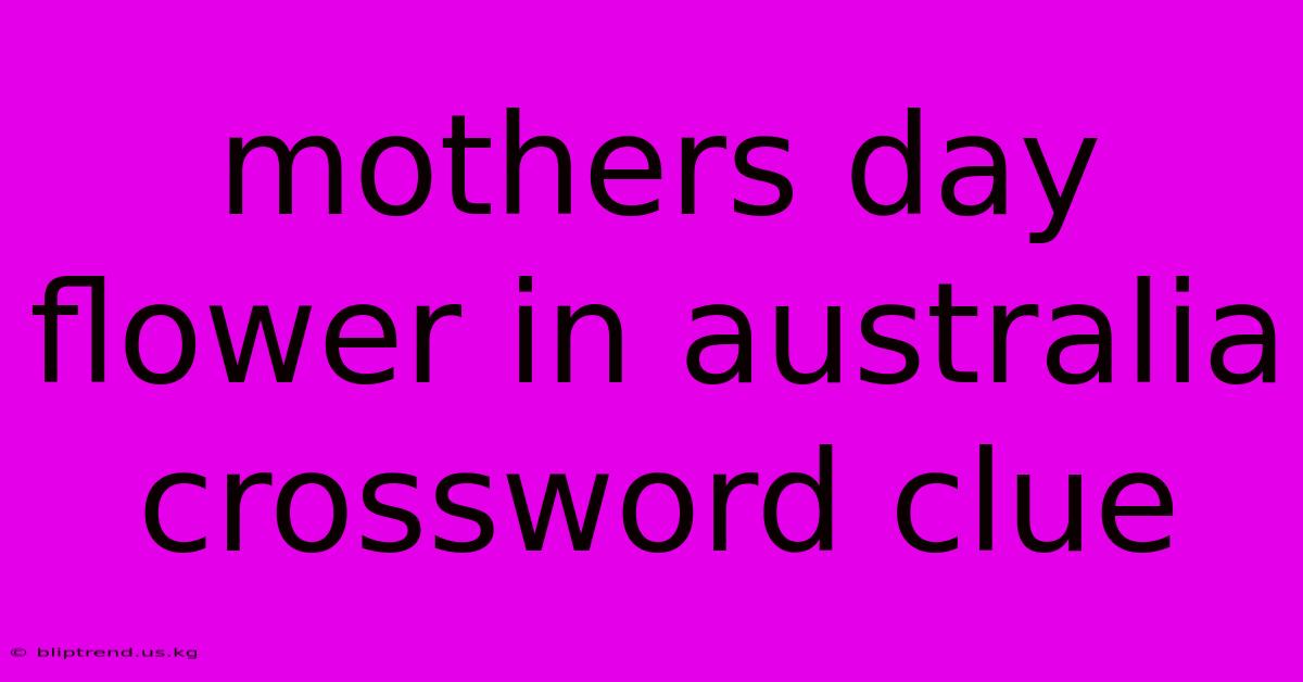 Mothers Day Flower In Australia Crossword Clue