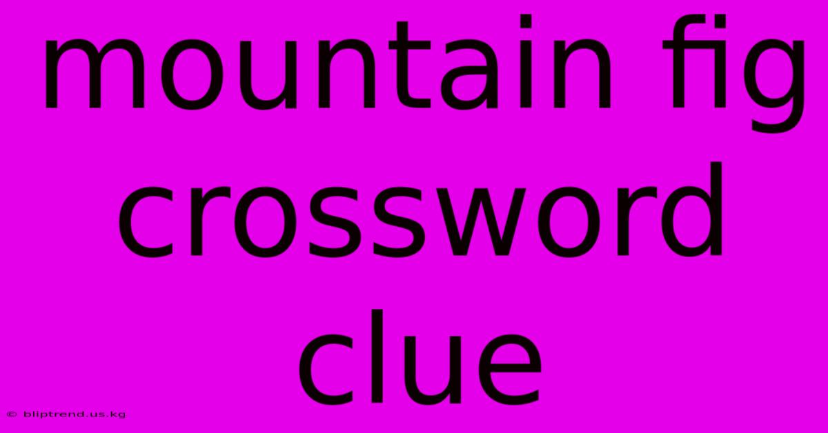 Mountain Fig Crossword Clue