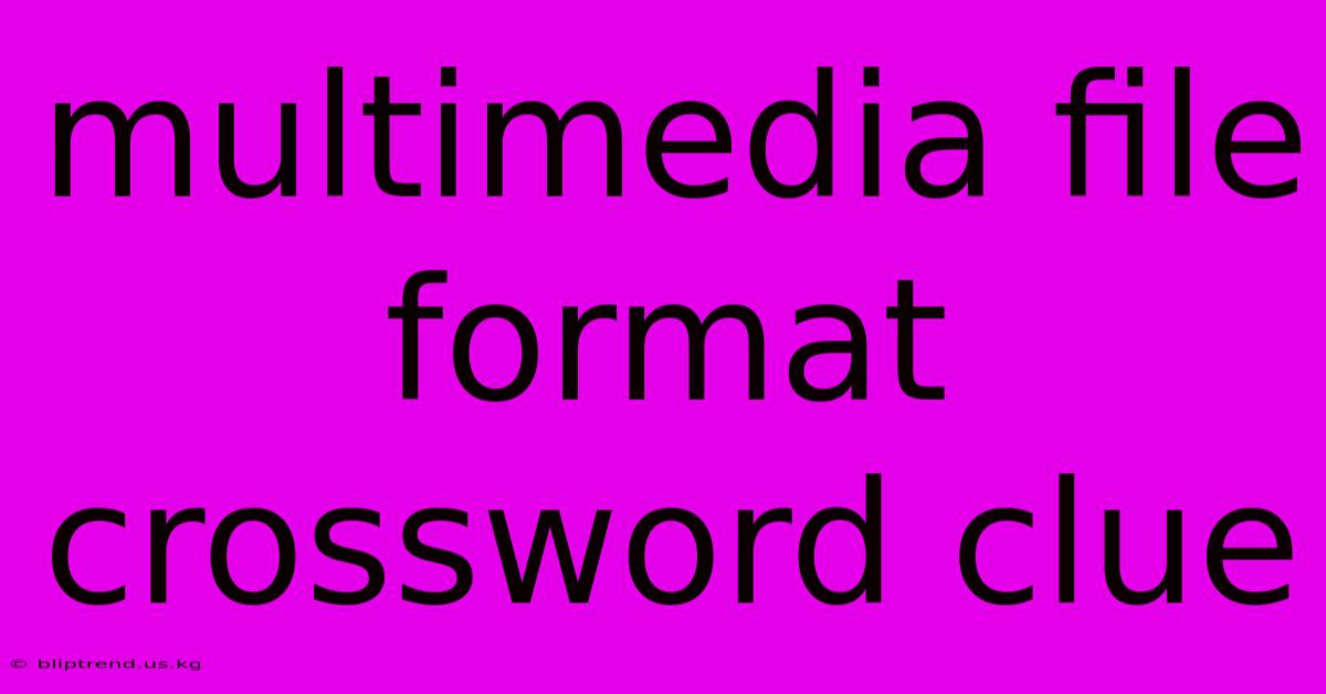 Multimedia File Format Crossword Clue