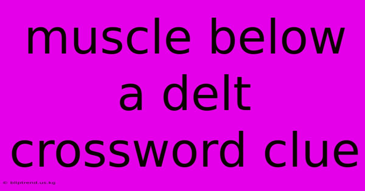 Muscle Below A Delt Crossword Clue