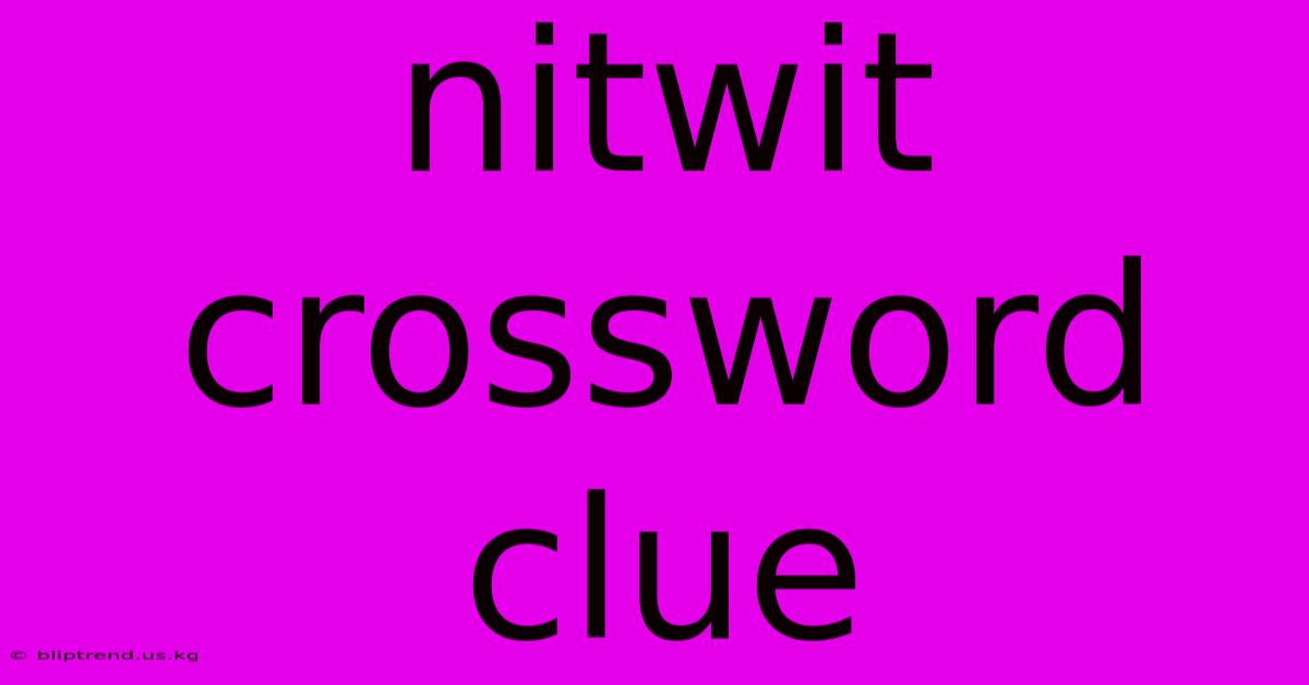 Nitwit Crossword Clue