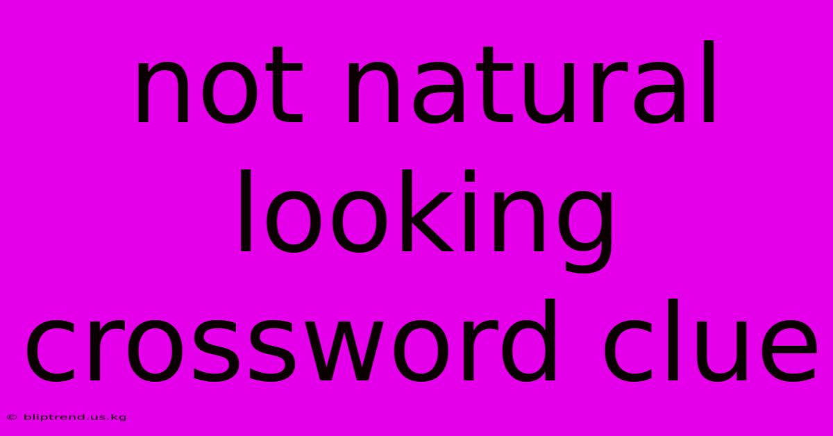 Not Natural Looking Crossword Clue