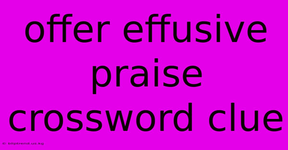 Offer Effusive Praise Crossword Clue