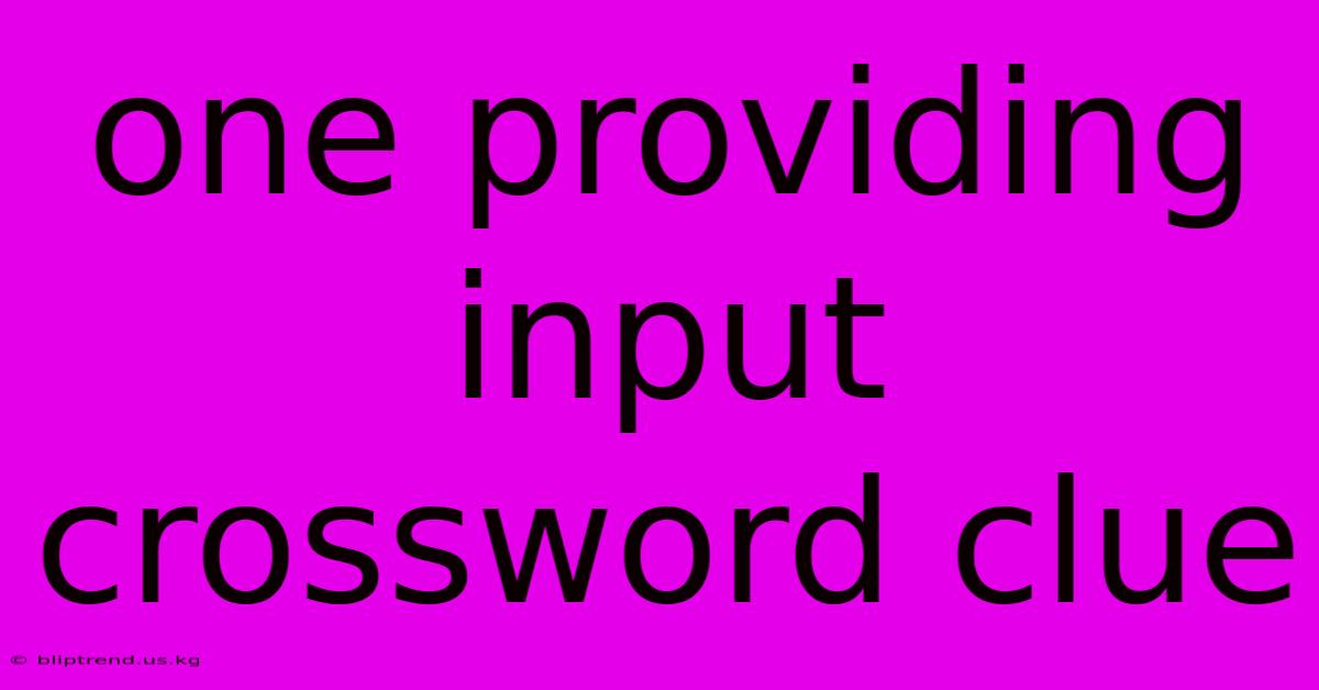 One Providing Input Crossword Clue