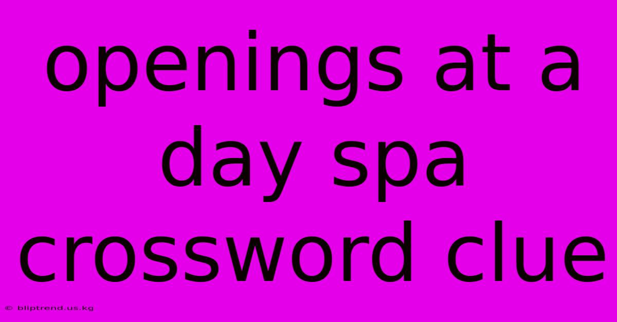 Openings At A Day Spa Crossword Clue