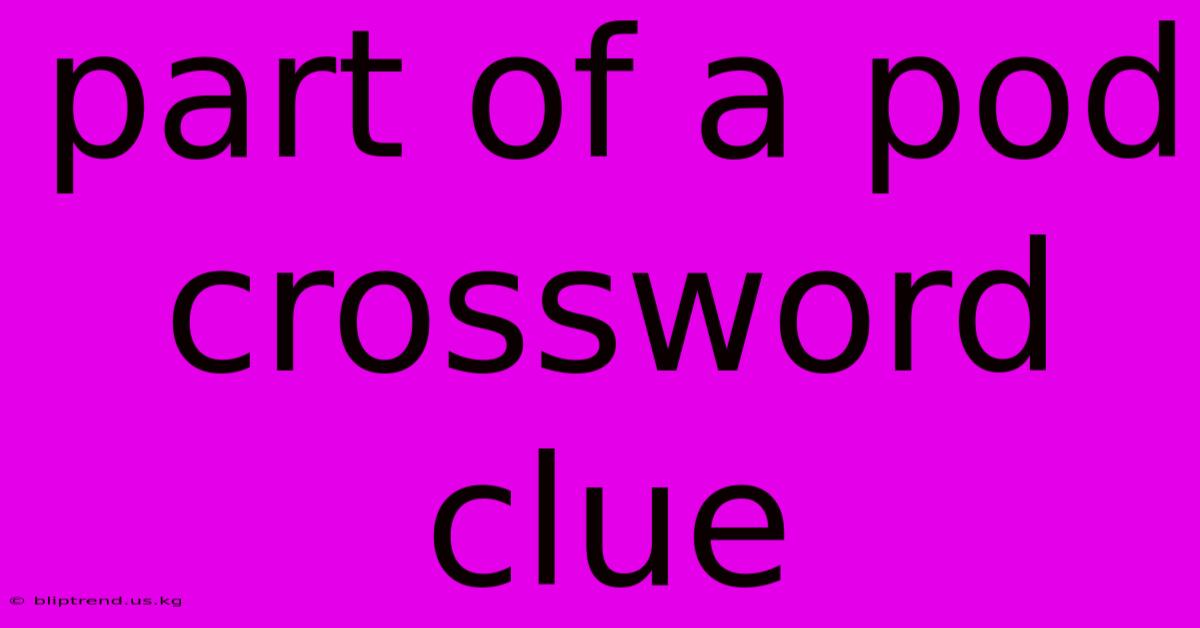 Part Of A Pod Crossword Clue