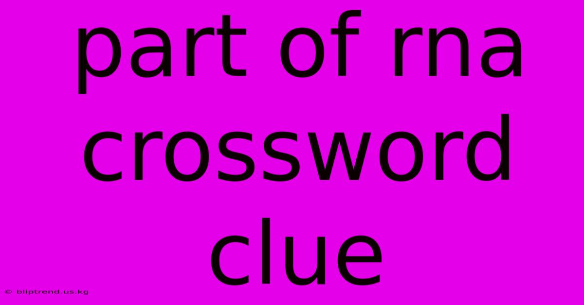 Part Of Rna Crossword Clue