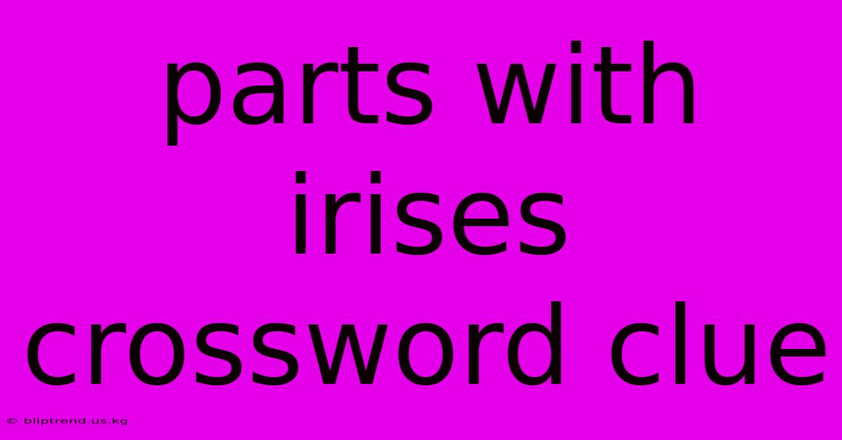 Parts With Irises Crossword Clue