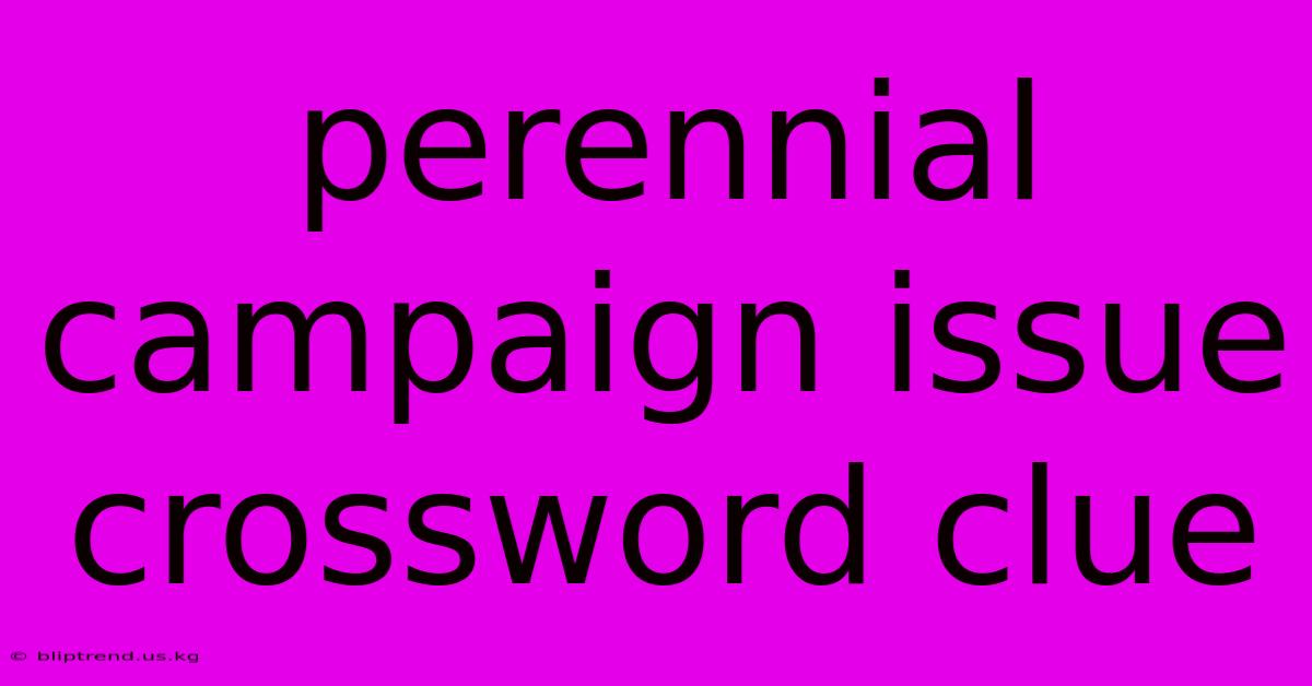 Perennial Campaign Issue Crossword Clue