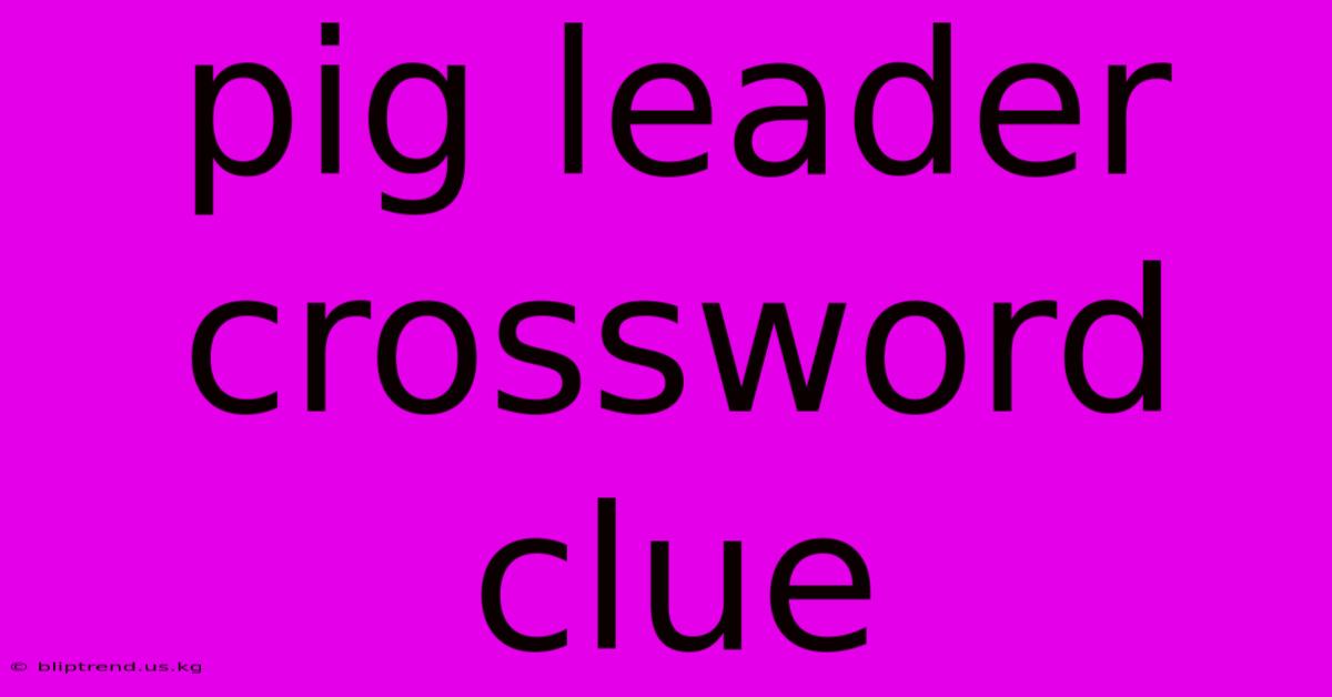 Pig Leader Crossword Clue