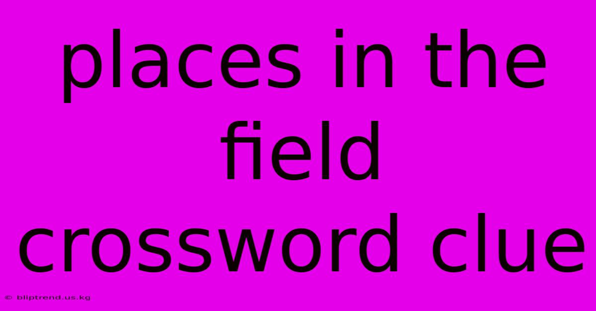 Places In The Field Crossword Clue