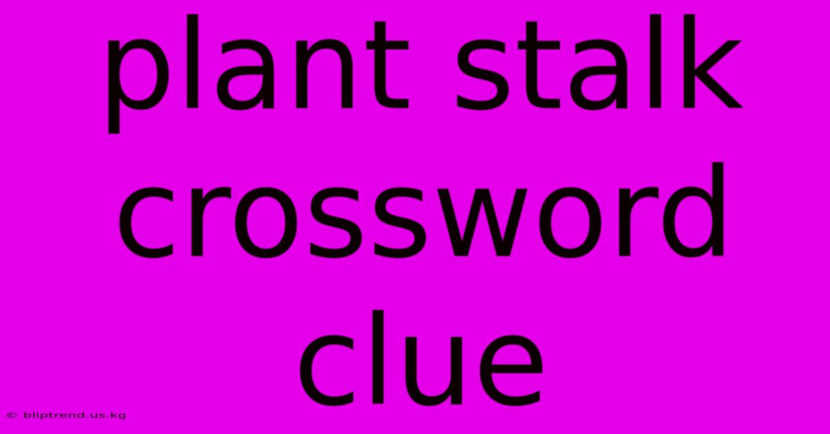 Plant Stalk Crossword Clue