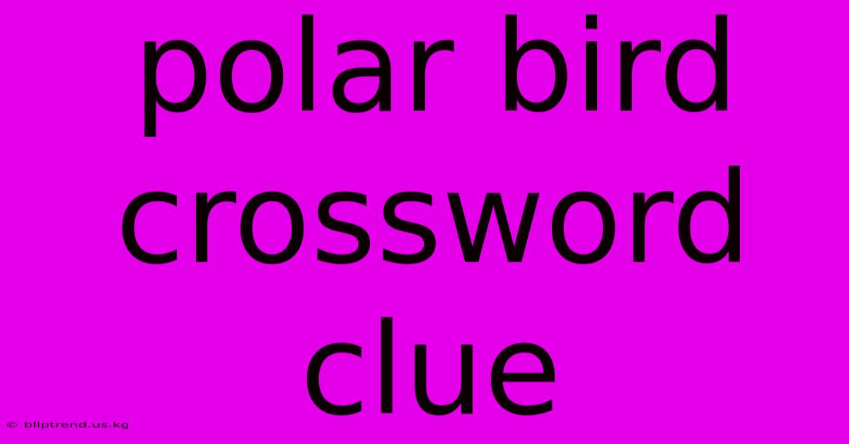 Polar Bird Crossword Clue