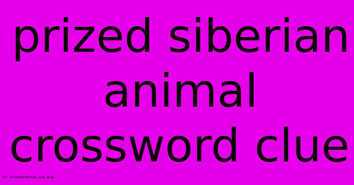 Prized Siberian Animal Crossword Clue