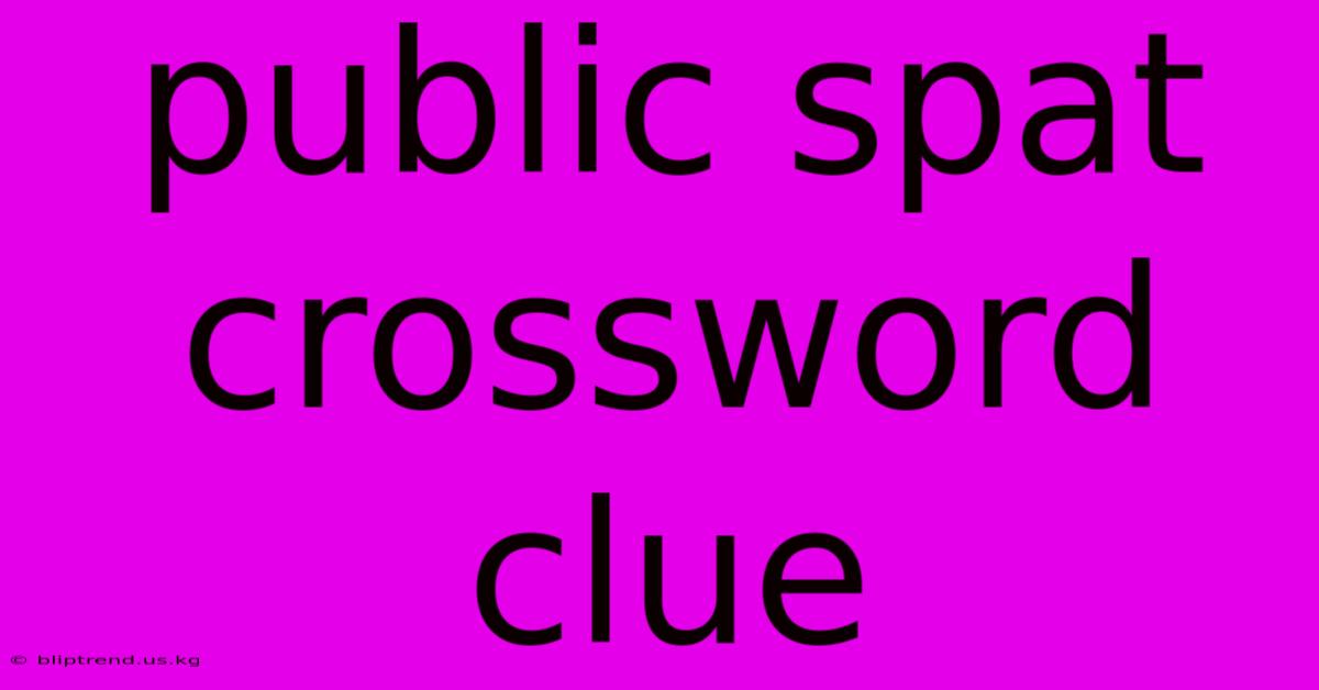 Public Spat Crossword Clue