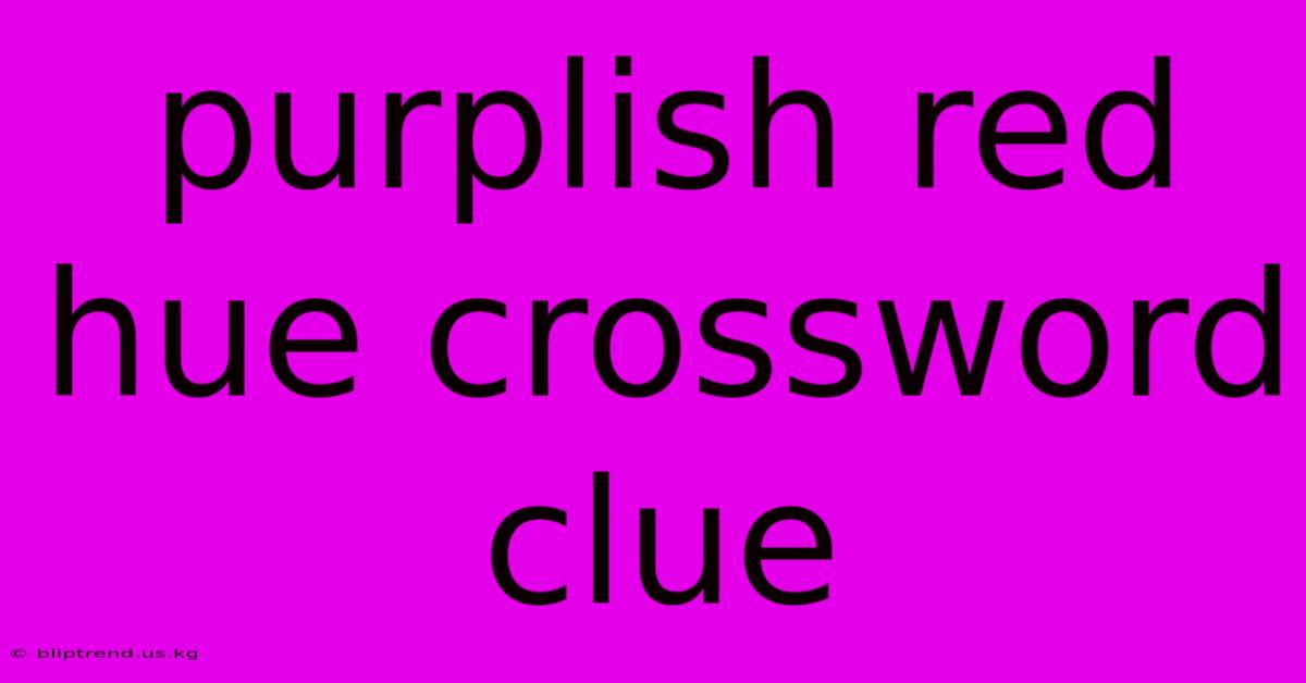 Purplish Red Hue Crossword Clue