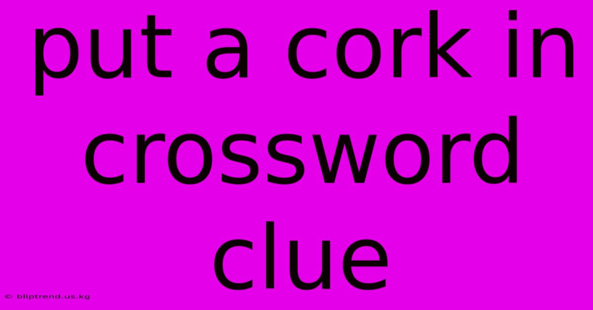 Put A Cork In Crossword Clue