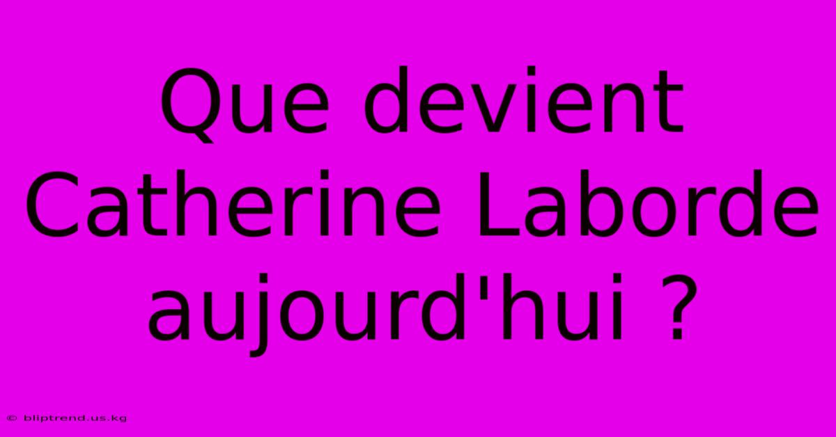 Que Devient Catherine Laborde Aujourd'hui ?