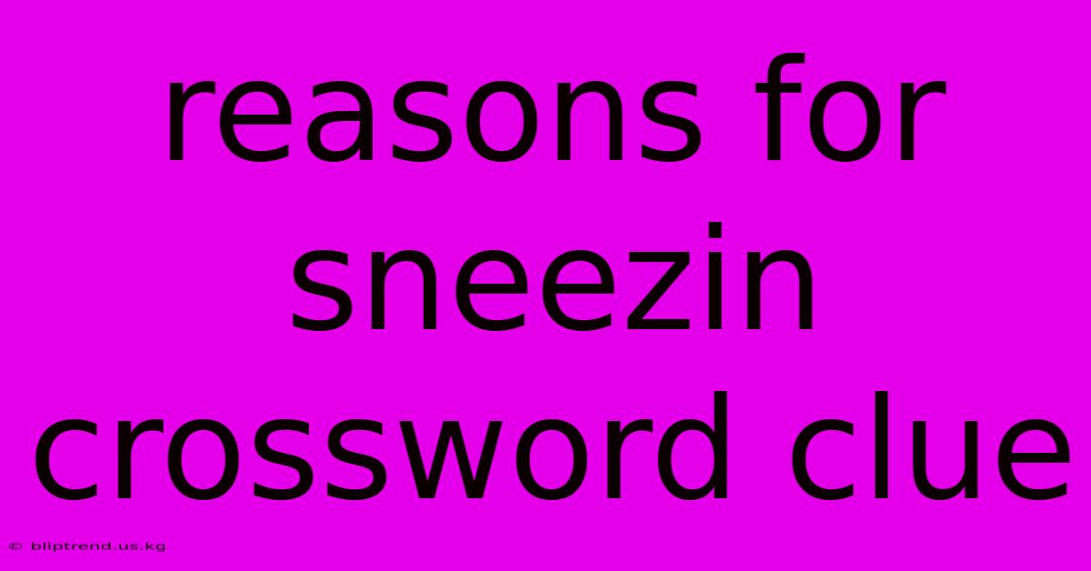 Reasons For Sneezin Crossword Clue