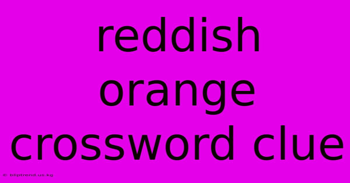 Reddish Orange Crossword Clue