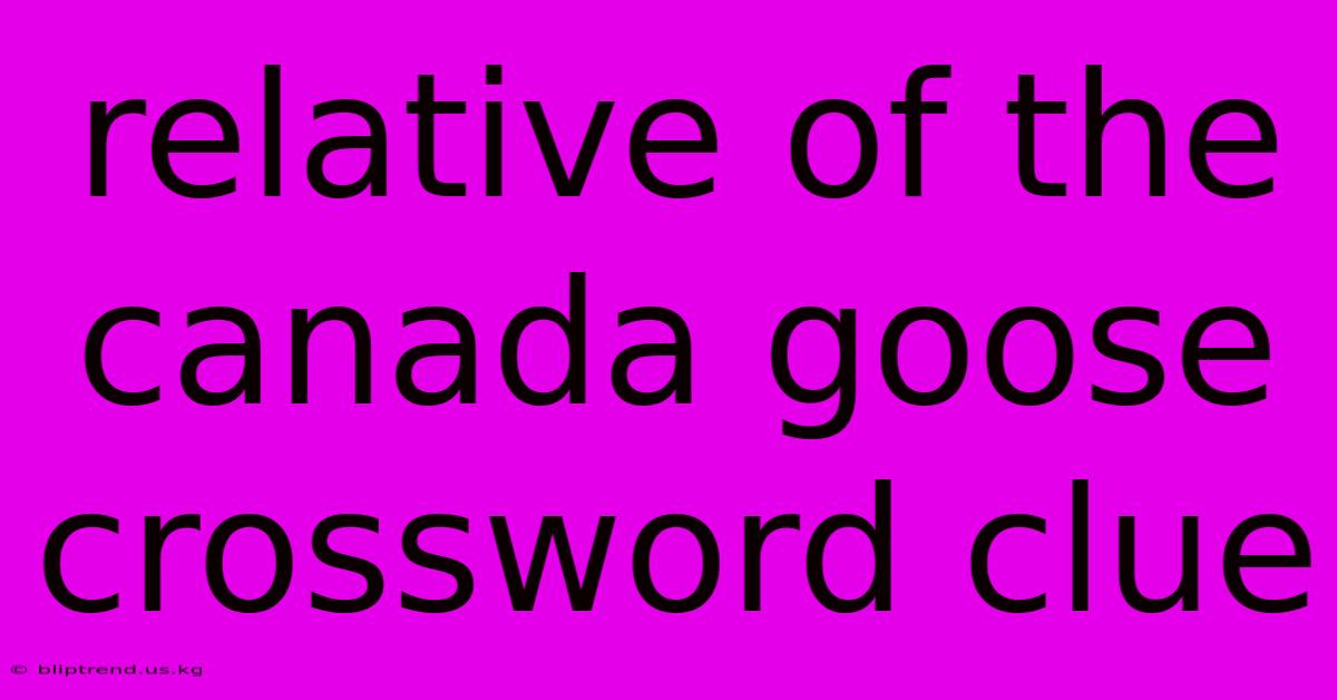 Relative Of The Canada Goose Crossword Clue