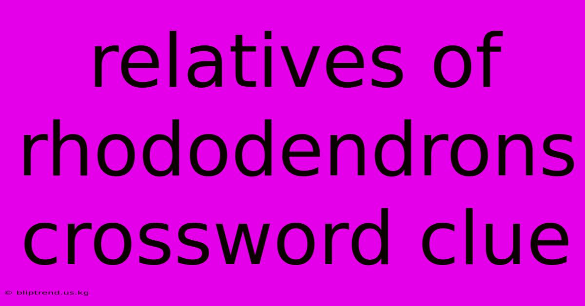 Relatives Of Rhododendrons Crossword Clue