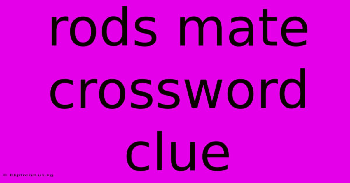 Rods Mate Crossword Clue