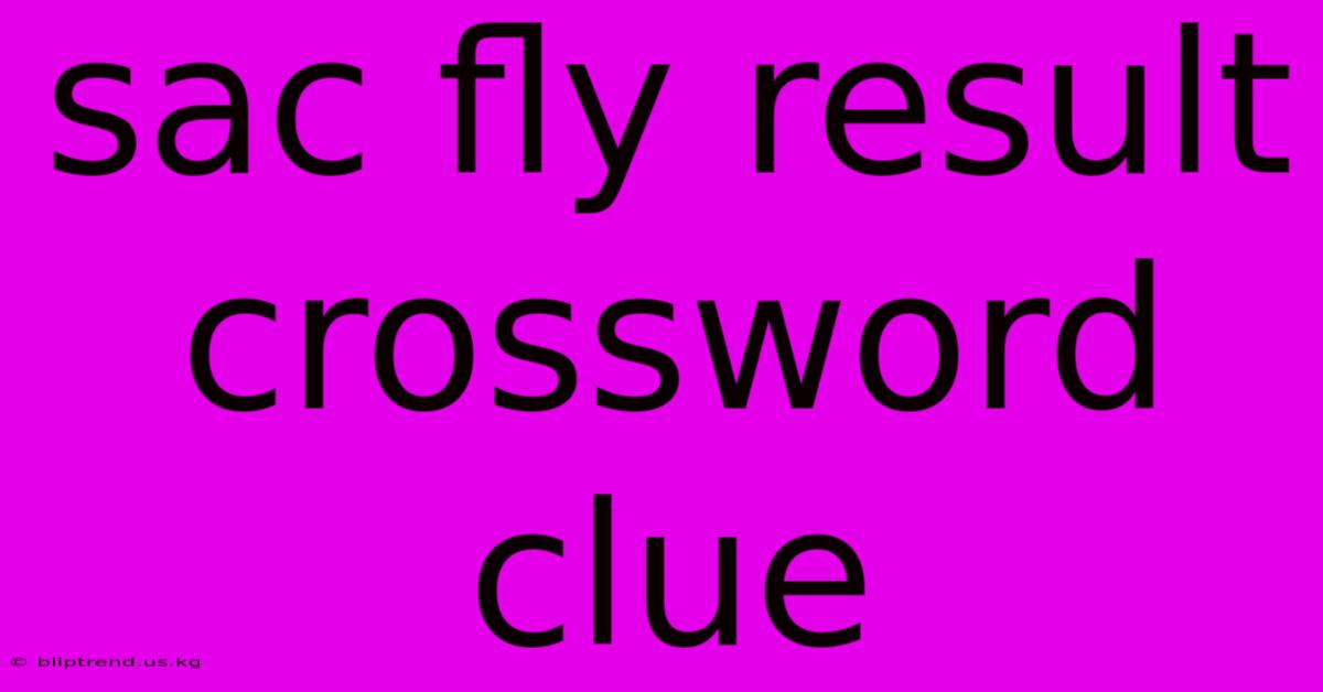 Sac Fly Result Crossword Clue