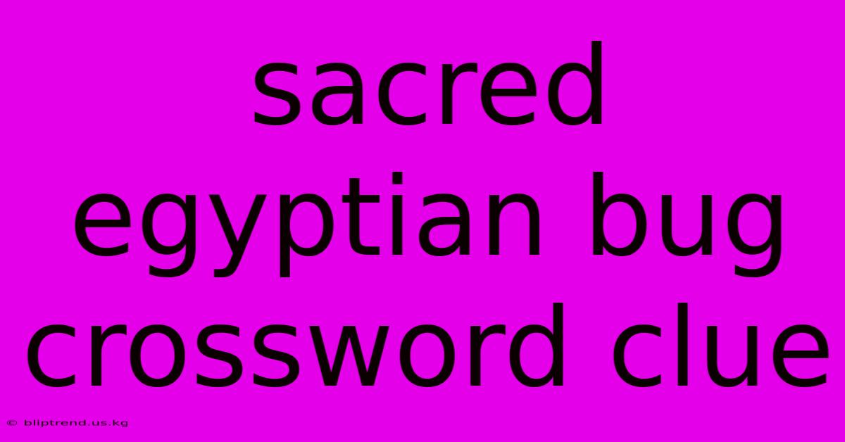 Sacred Egyptian Bug Crossword Clue