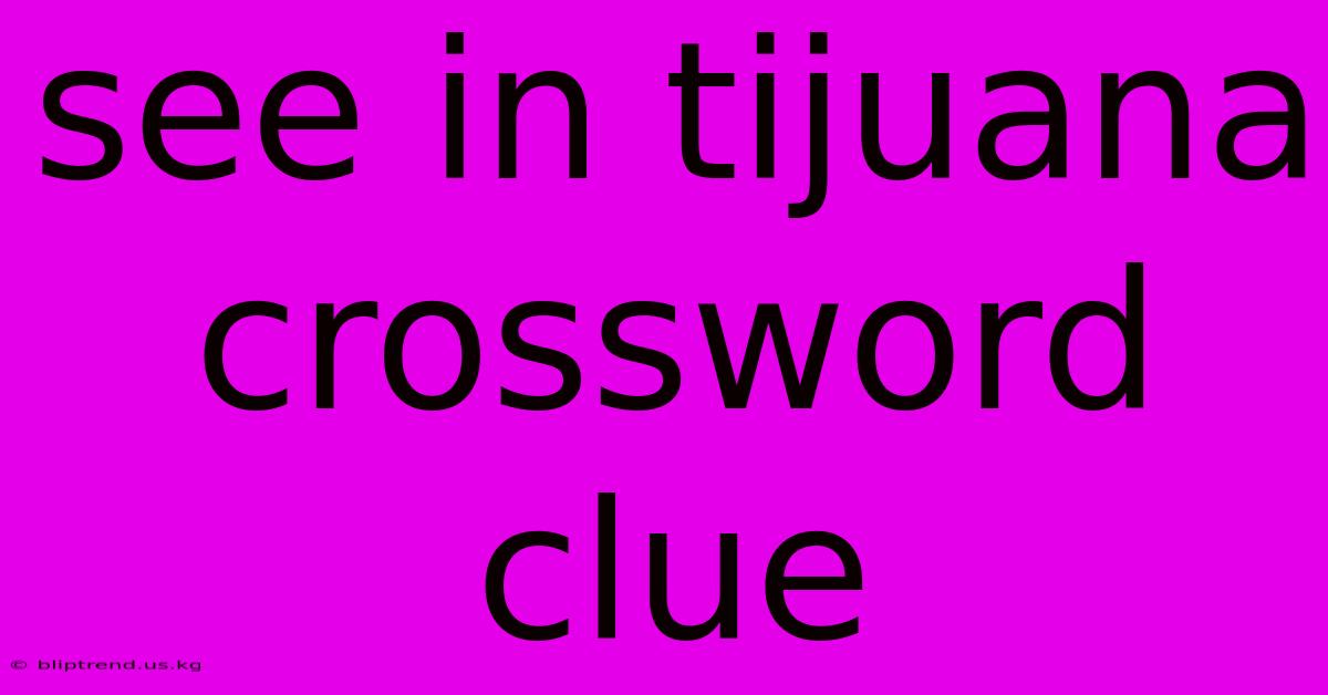 See In Tijuana Crossword Clue