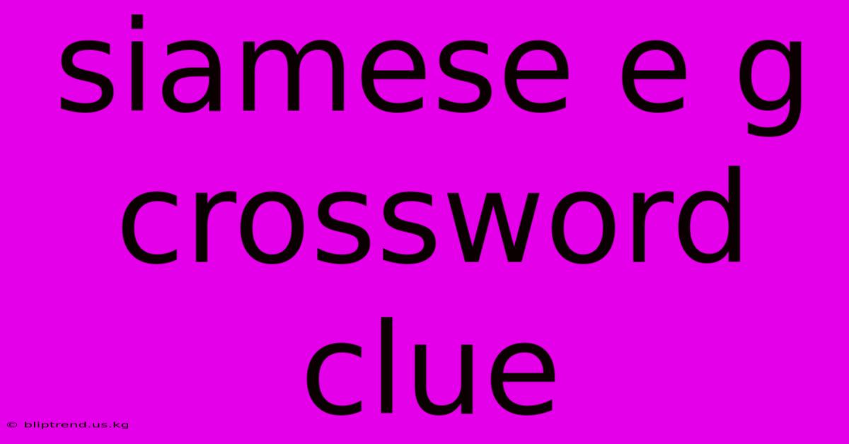 Siamese E G Crossword Clue