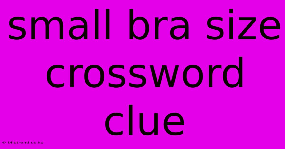 Small Bra Size Crossword Clue