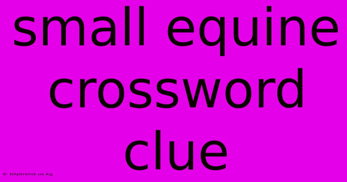 Small Equine Crossword Clue