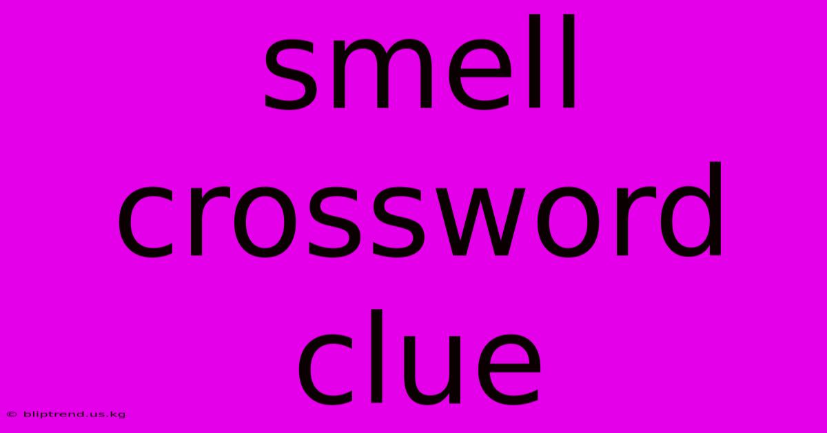 Smell Crossword Clue