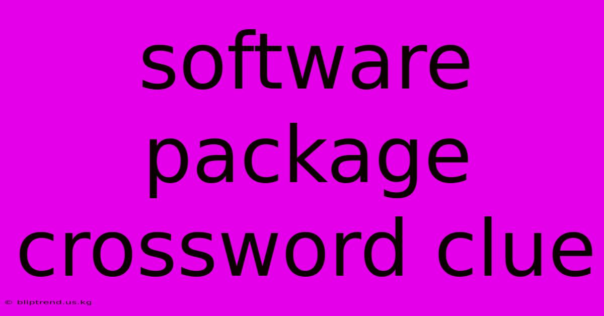 Software Package Crossword Clue