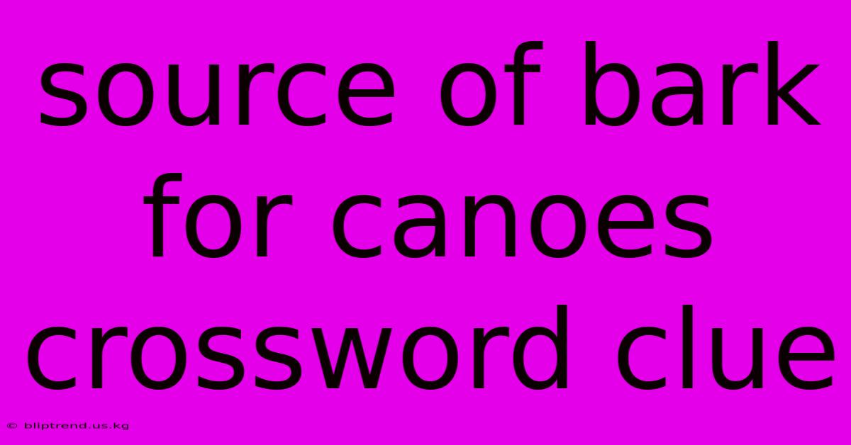 Source Of Bark For Canoes Crossword Clue