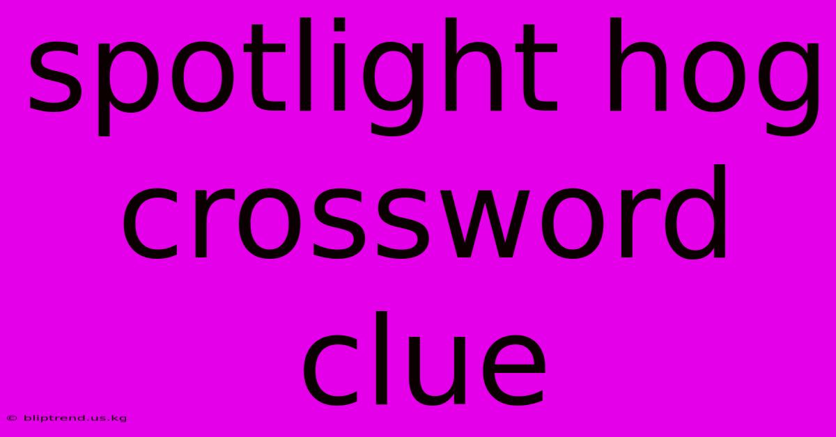 Spotlight Hog Crossword Clue