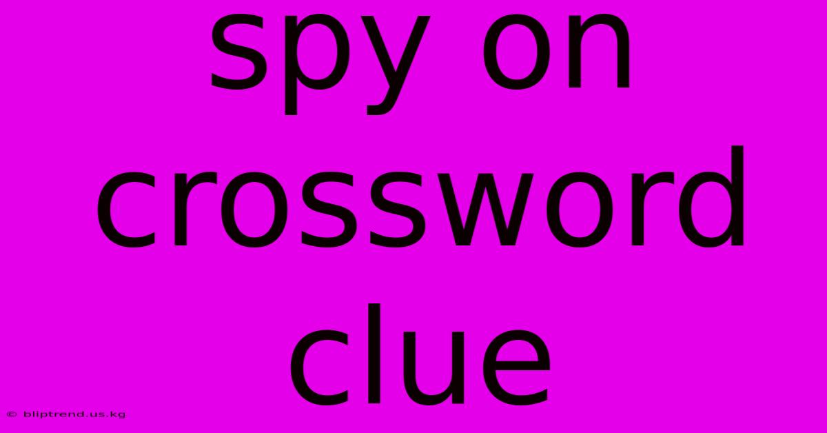 Spy On Crossword Clue