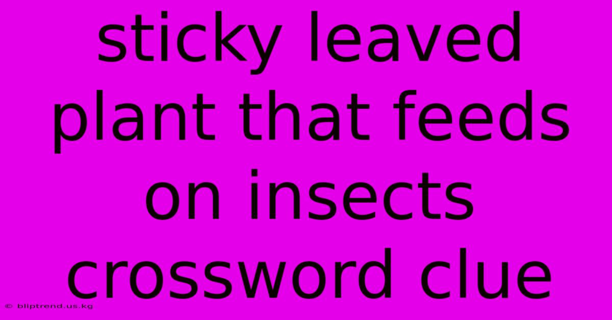 Sticky Leaved Plant That Feeds On Insects Crossword Clue