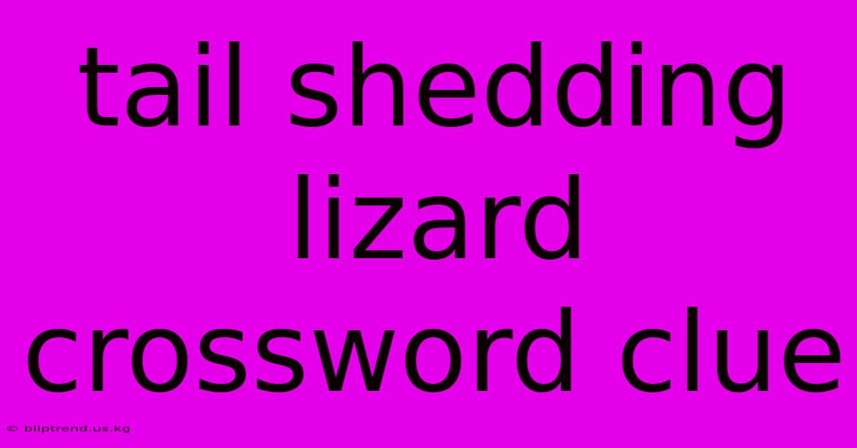 Tail Shedding Lizard Crossword Clue